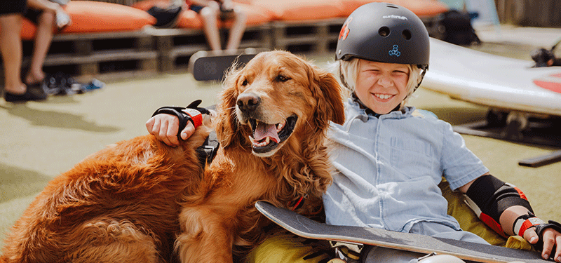 Hund och pojke med skateboard